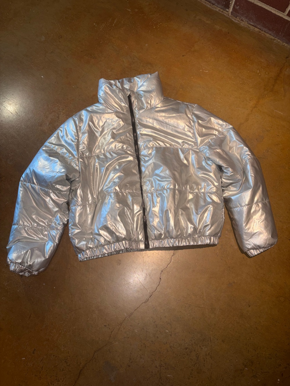 wild fable Metallic Silver Cropped Puffer Jacket